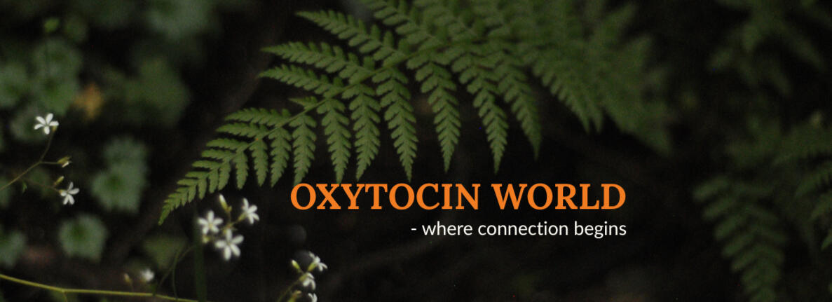 Oxytocin World